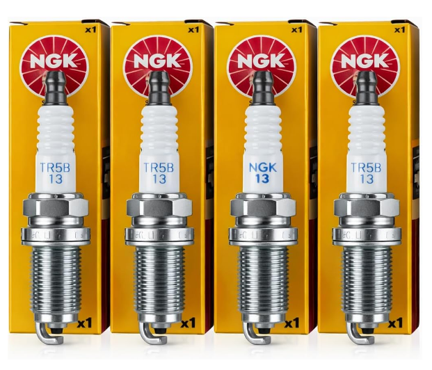 Spark Plugs (NGK TR5B-13)