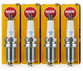 Spark Plugs (NGK TR5B-13)