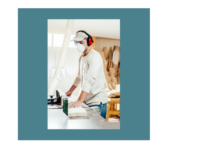 Shind Adjustable and Noise Reduction Ears Muffs